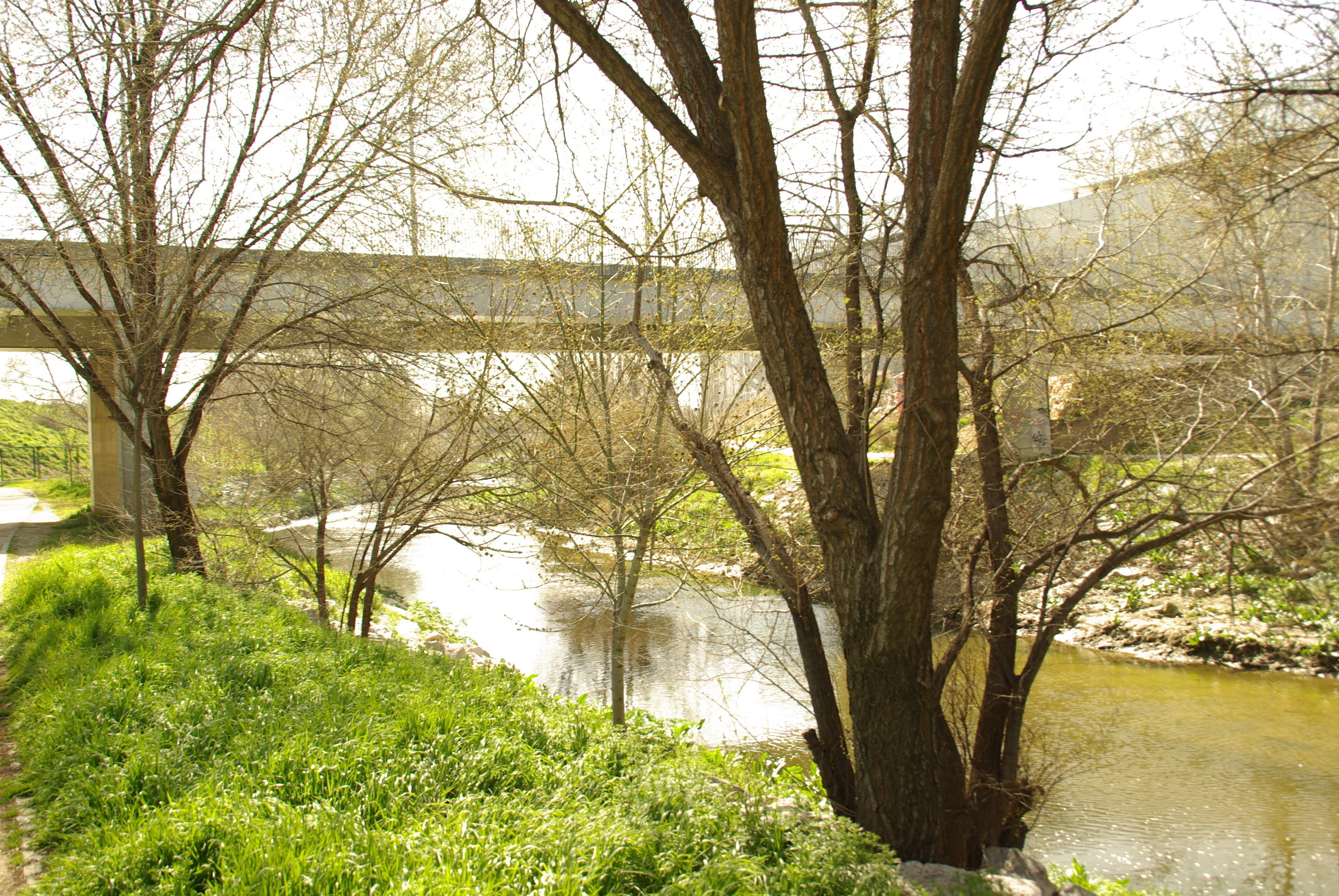 ® MADRID P.L.M. CAJA MAGICA PASARELA