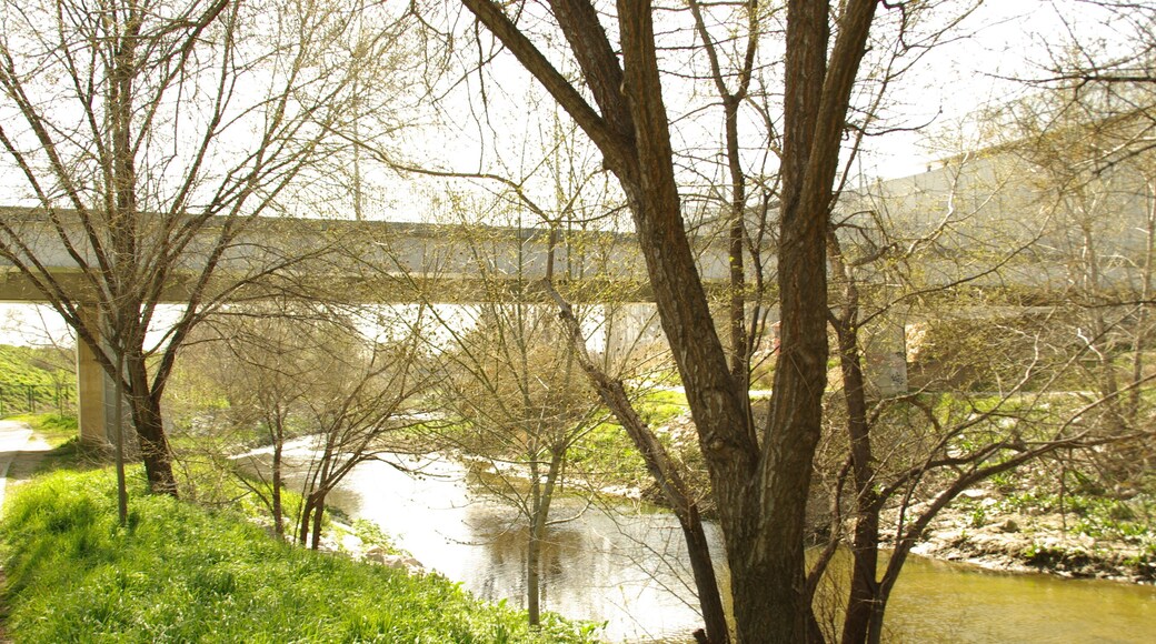 ® MADRID P.L.M. CAJA MAGICA PASARELA