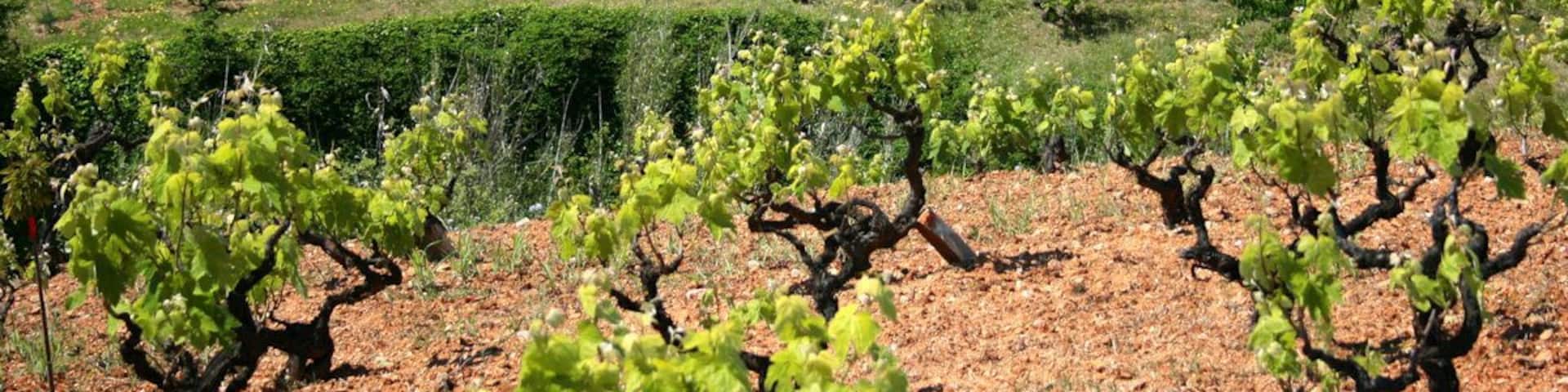 Montornès del Vallès