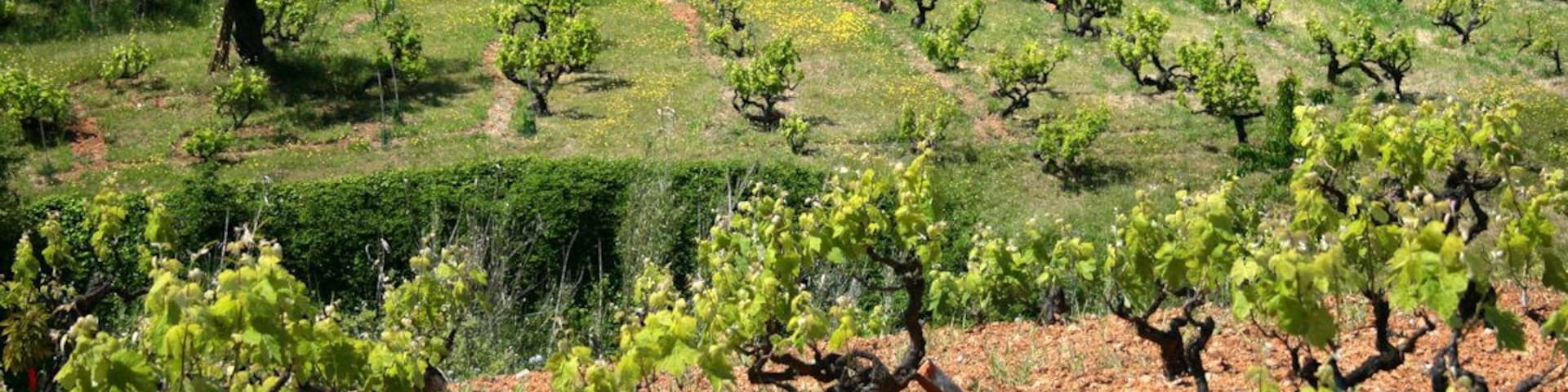 Montornès del Vallès