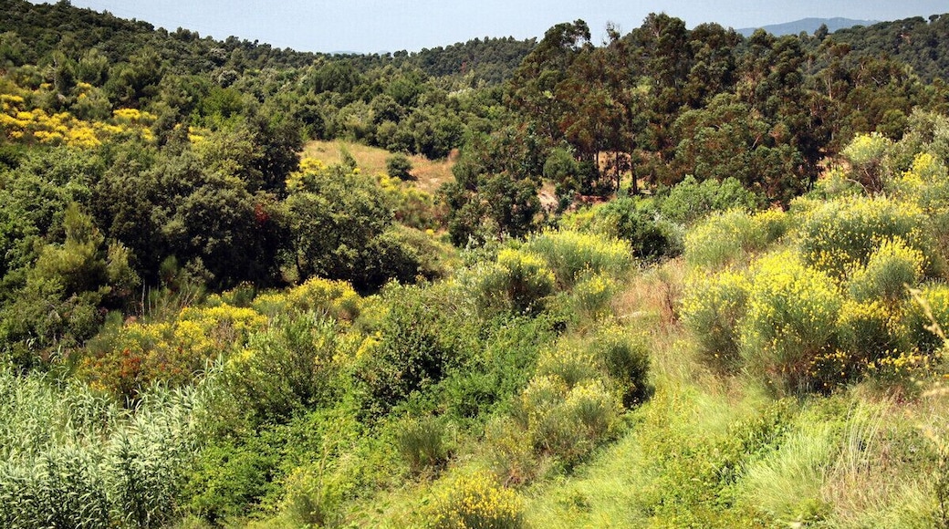 Montornès del Vallès