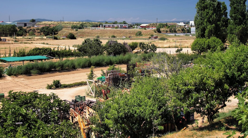 Montornès dle Vallès