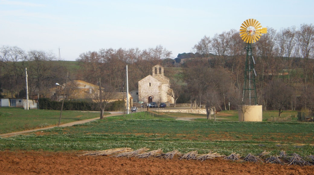Gallecs en Mollet del Vallès (provincia de Barcelona).