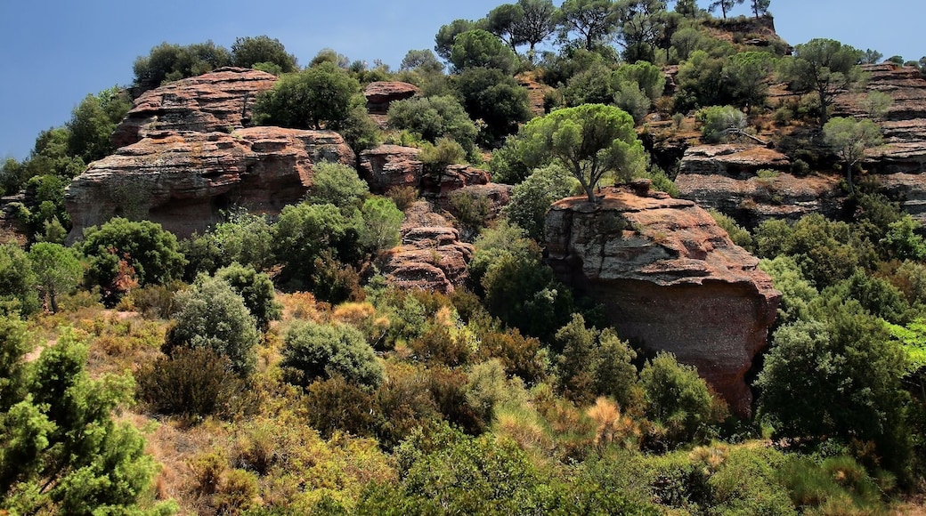 Serra de les Torretes