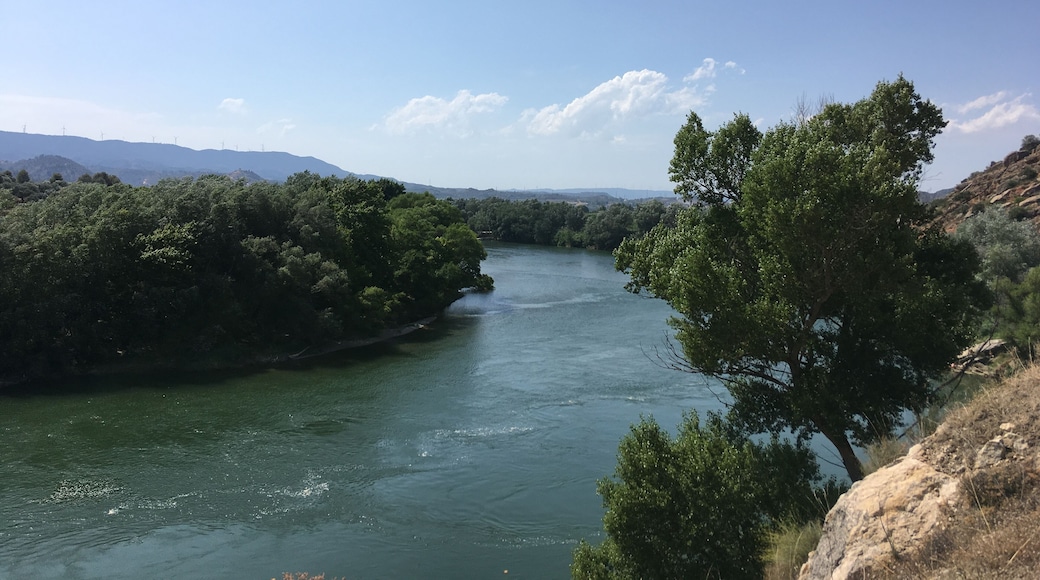 El pas de l'Ase és un congost del riu Ebre