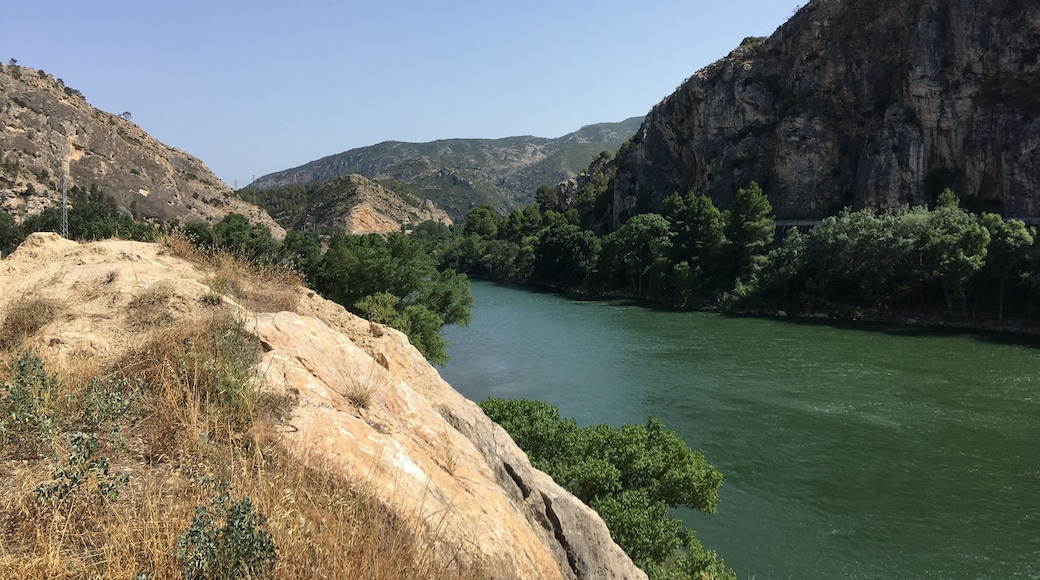 El pas de l'Ase és un congost del riu Ebre