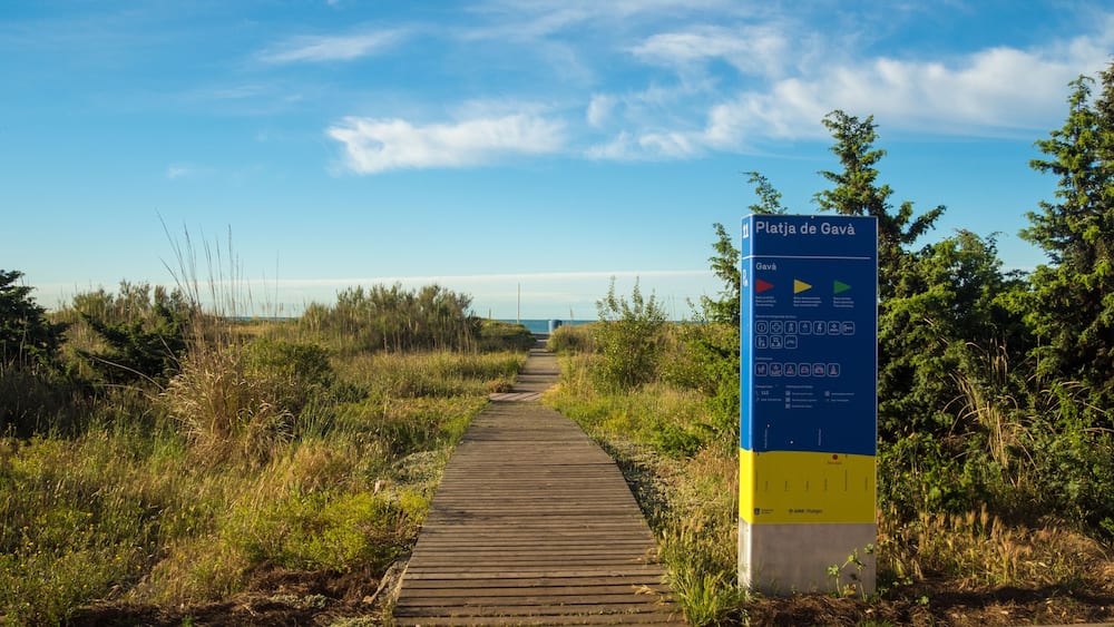 Barcelona, Spain - may 14, 2018: Gava in Barcelona beach