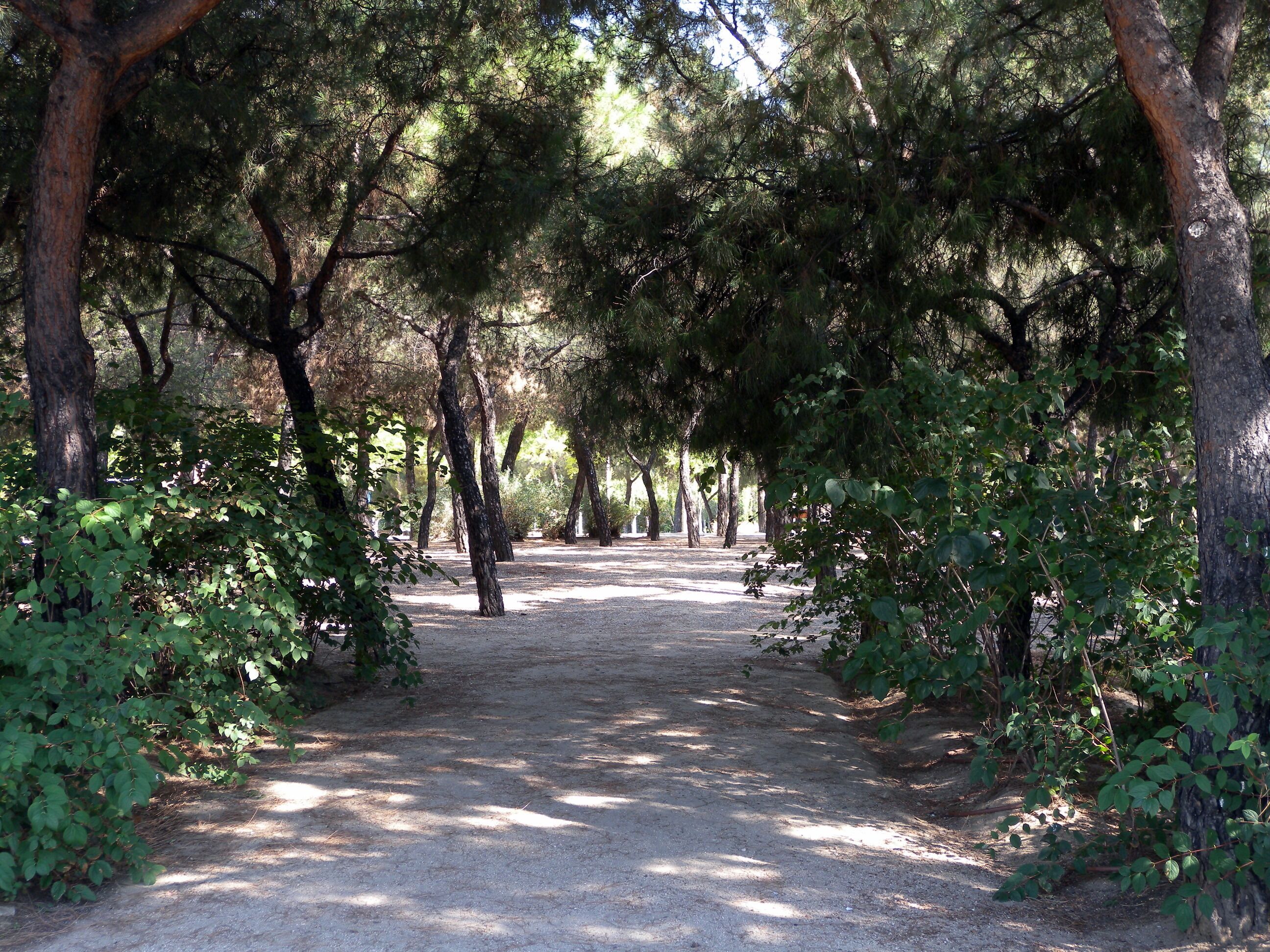 Prosperidad, Madrid, Spain