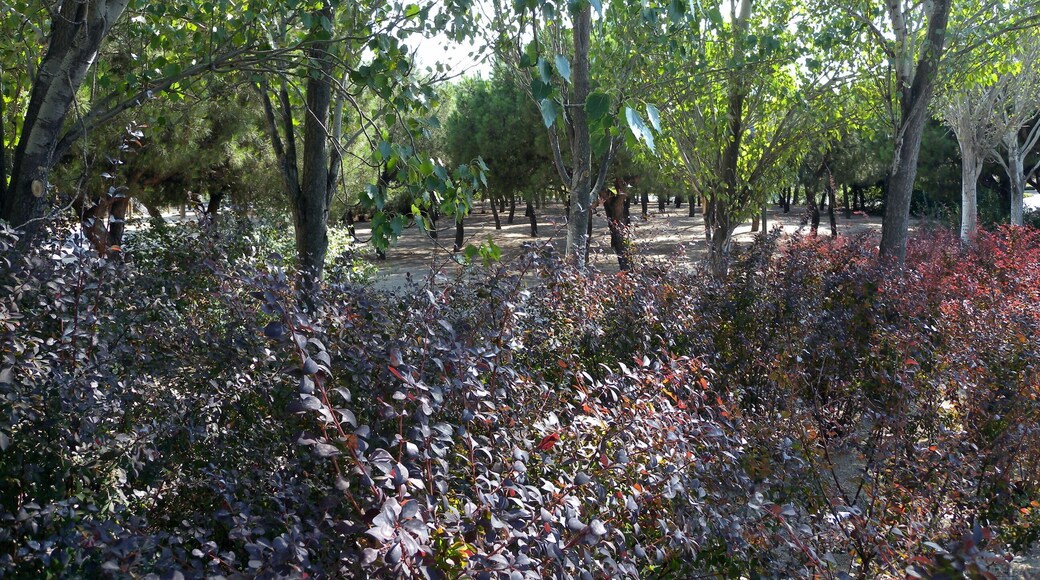 Prosperidad, Madrid, Spain