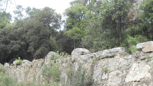 Guarda-rodes de l'antiga via romana de Parpers, coneguda com Via Sèrgia, que anava des d'Iluro (Mataró) fins Ausa (Vic).