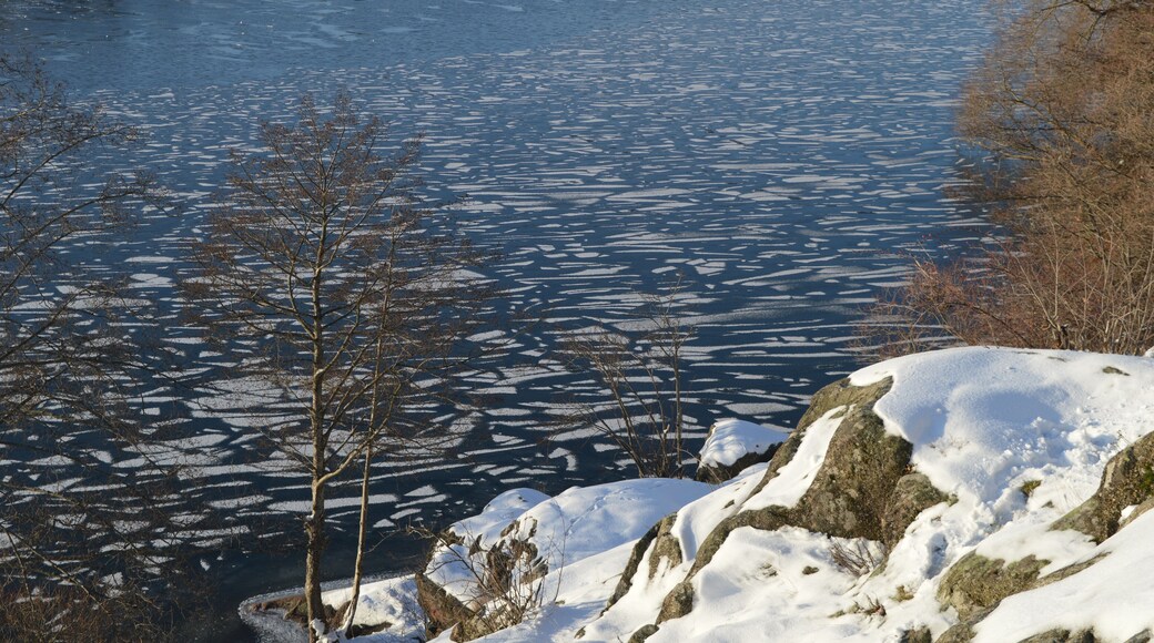 Winter wonderland and snowy landscape in Sundbyberg, (Stockholm), Sweden