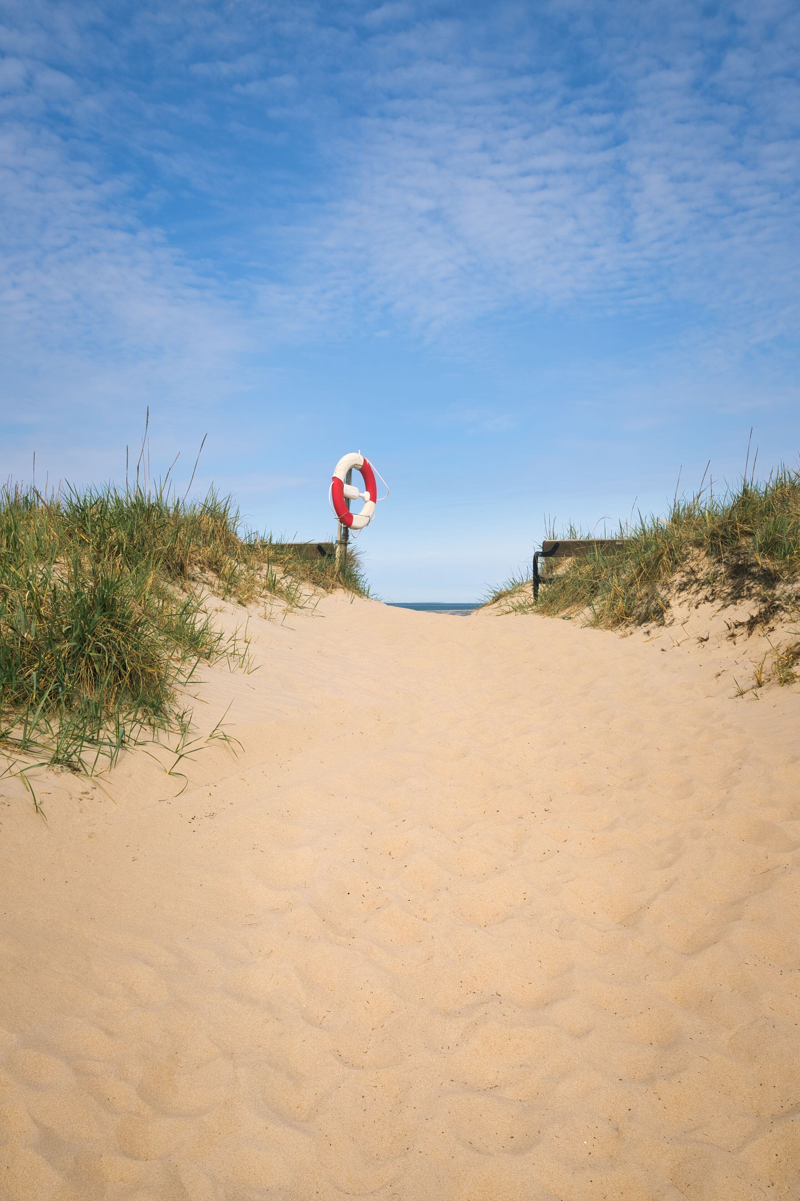 A sandy beach with a lifebuoy on a post, surrounded by grass.