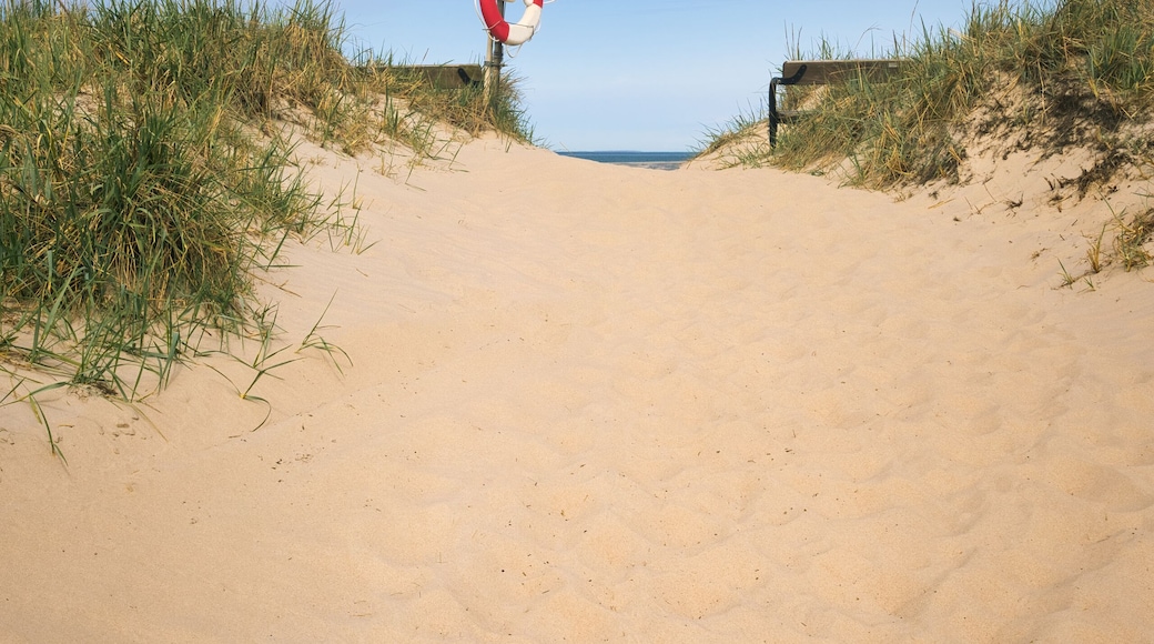 A sandy beach with a lifebuoy on a post, surrounded by grass.