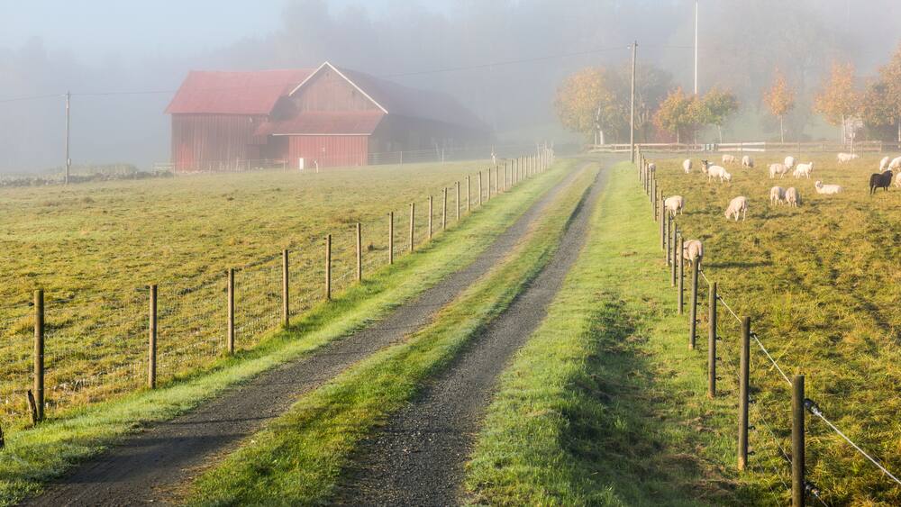 Rural landscape