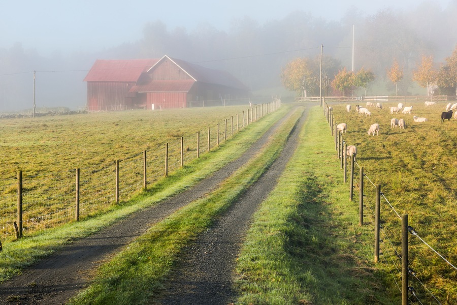 Rural landscape