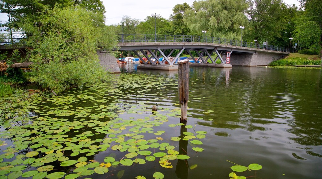 Langholmen featuring a bridge and a pond