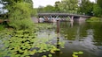Langholmen featuring a bridge and a pond
