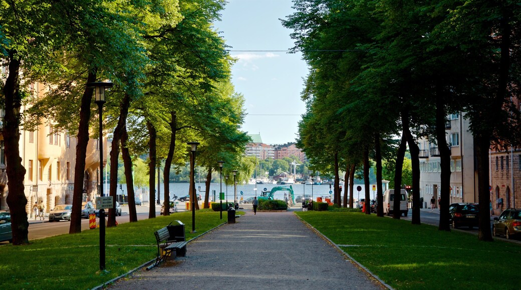 Kungsholmen which includes a park
