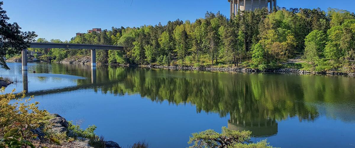 A calm river with a bridge and a water tower amidst a forest.