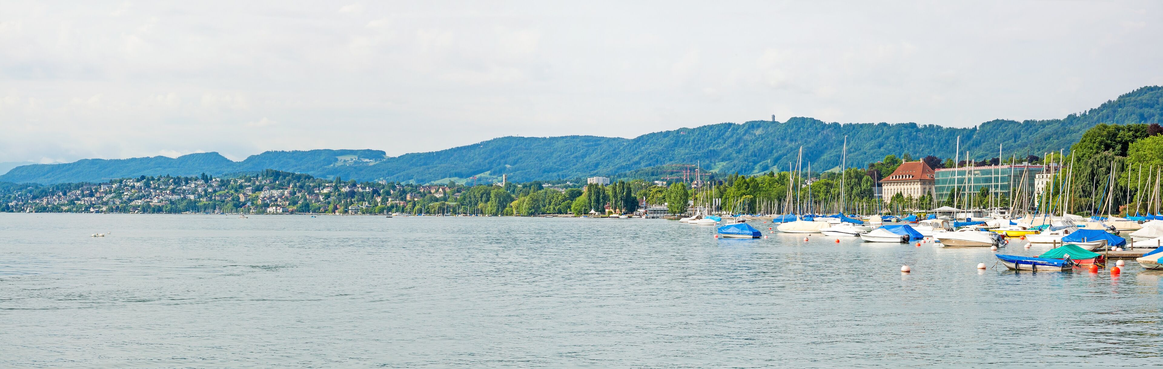 Lake Zurich panorama