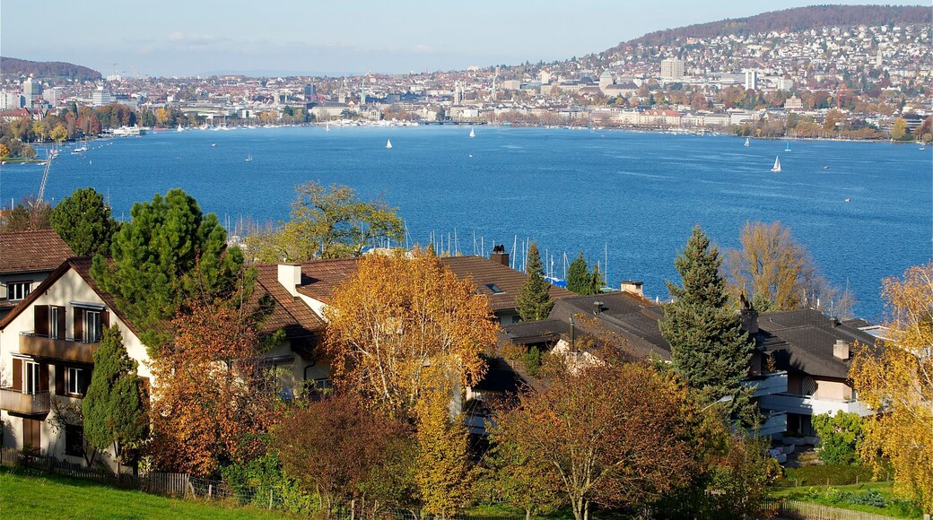 Un paisaje urbano costero con una gran extensión de agua, veleros y follaje otoñal.