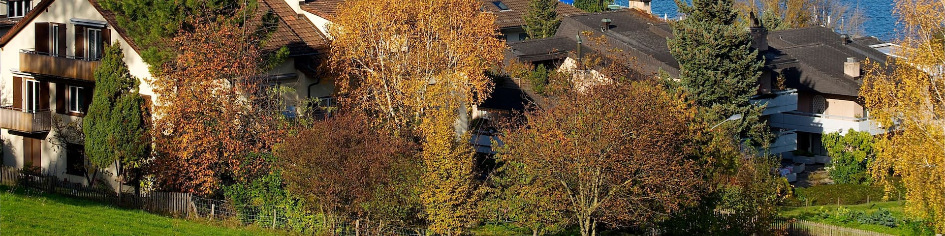 A coastal cityscape with a large body of water, sailboats, and autumn foliage.