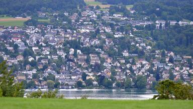 A densely populated residential area with houses and a lake in the foreground.