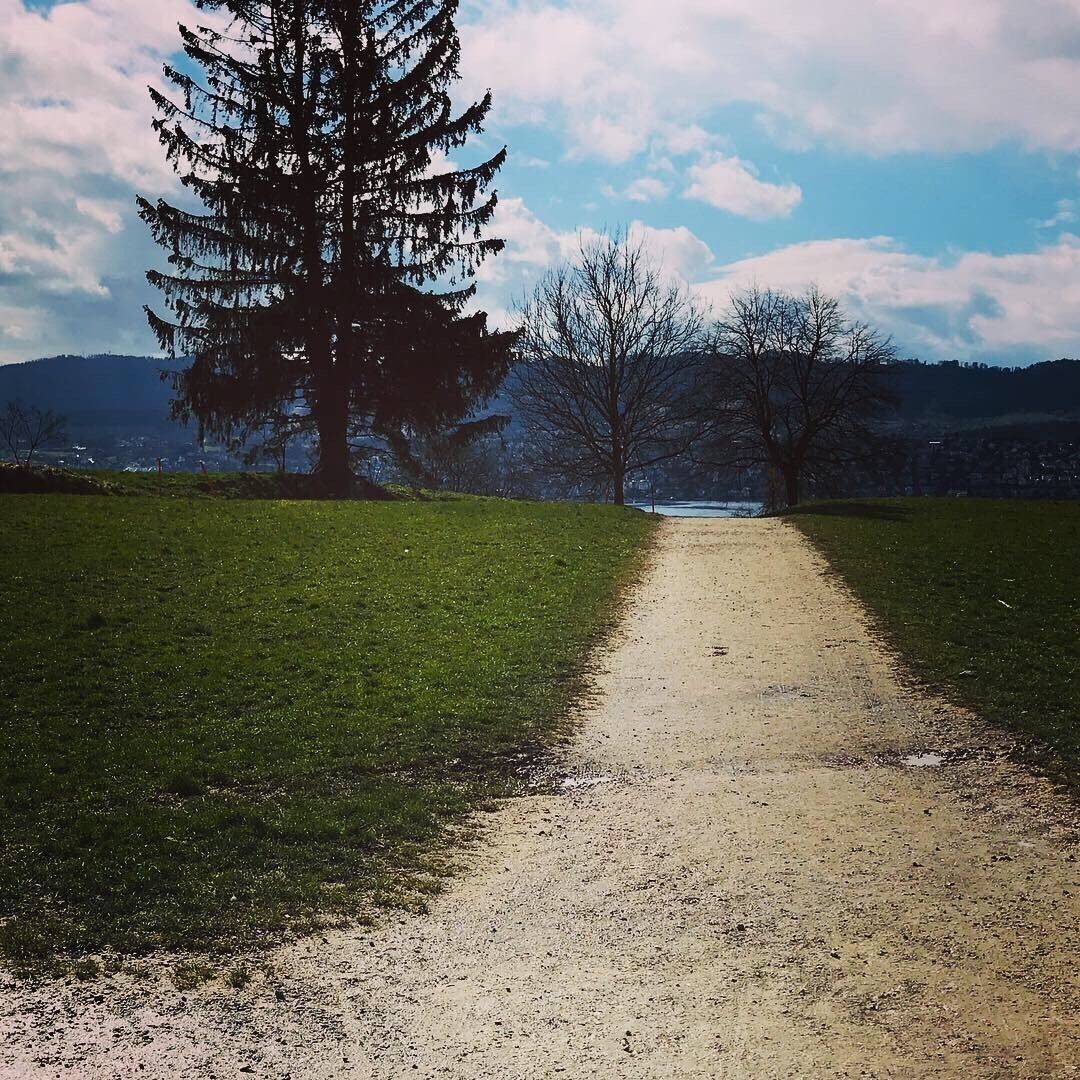 Tracks from the village uphill