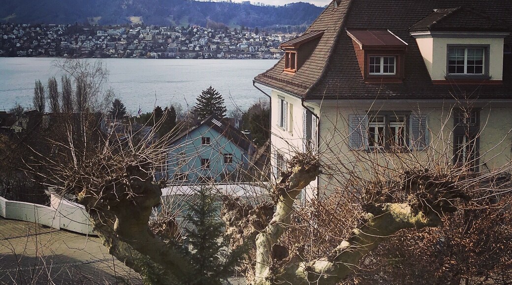 Beautiful hikes near Zurich.