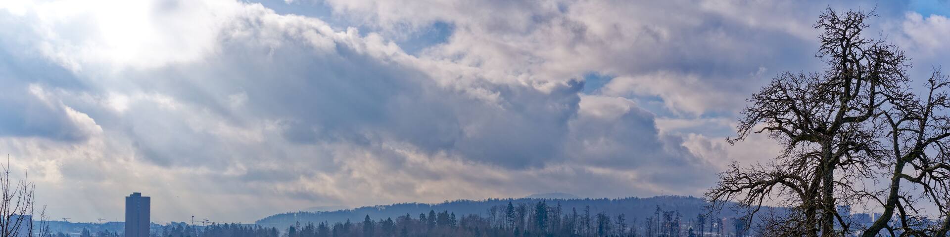 Scenic view of landscape from hill with bare tree and blue cloudy sky at City of Zürich district Seebach on a winter noon. Photo taken January 31st, 2023, Zurich, Switzerland.