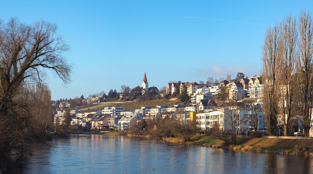 A river with buildings along the banks, a church steeple, and leafless trees.