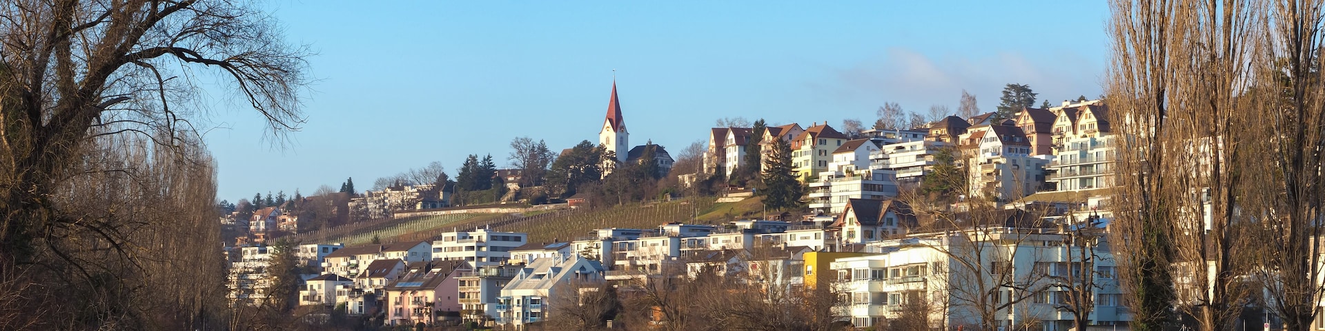 Ein Fluss mit Gebäuden an den Ufern, ein Kirchturm und kahlstehende Bäume.
