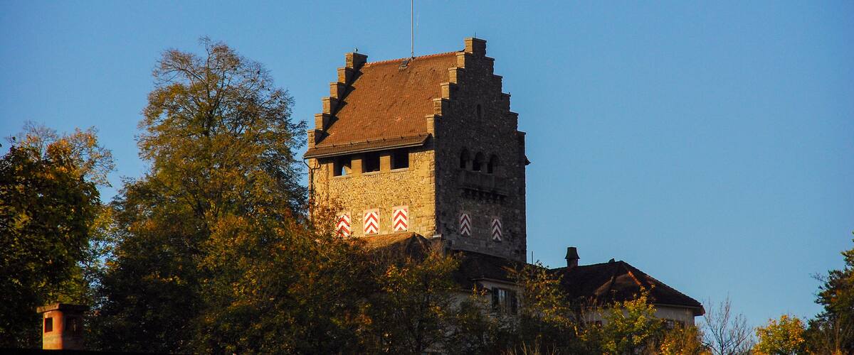 A historic stone tower with a flag, surrounded by trees and a building with a red roof.