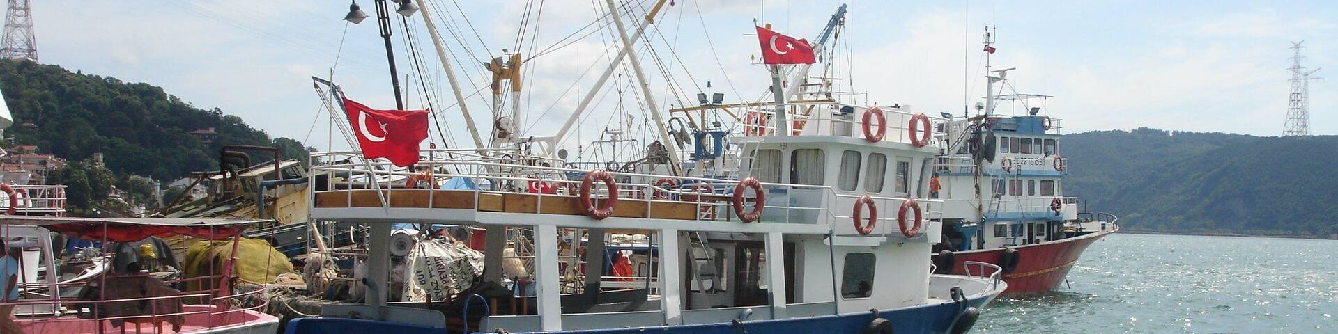 0_1c134f54-f17f-402a-b4b5-a93527c6de0e_raw