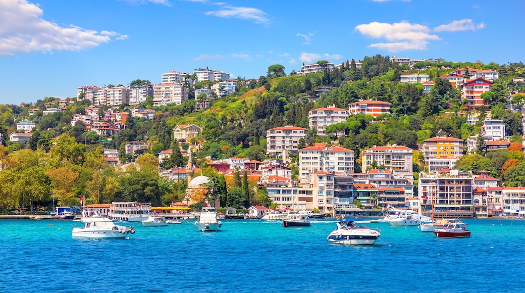 Bebek district of Istanbul, beautiful houses on the coast of the Bosphorus strait
