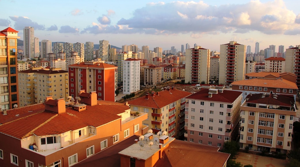 อุมรานีย์