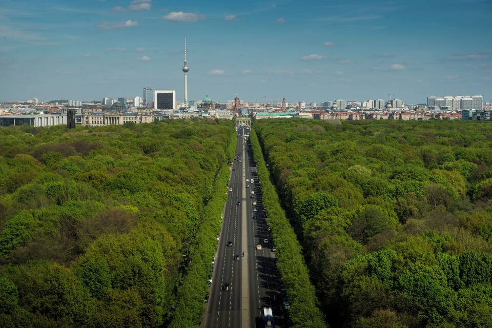 Una carretera vora arbres verds i frondosos que condueix a un paisatge urbà ple d'edificis moderns i una torre destacada.