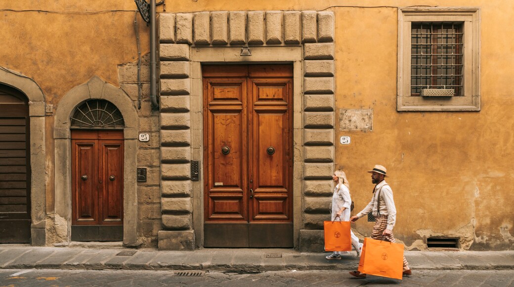 Province of Florence which includes heritage elements and street scenes as well as a couple