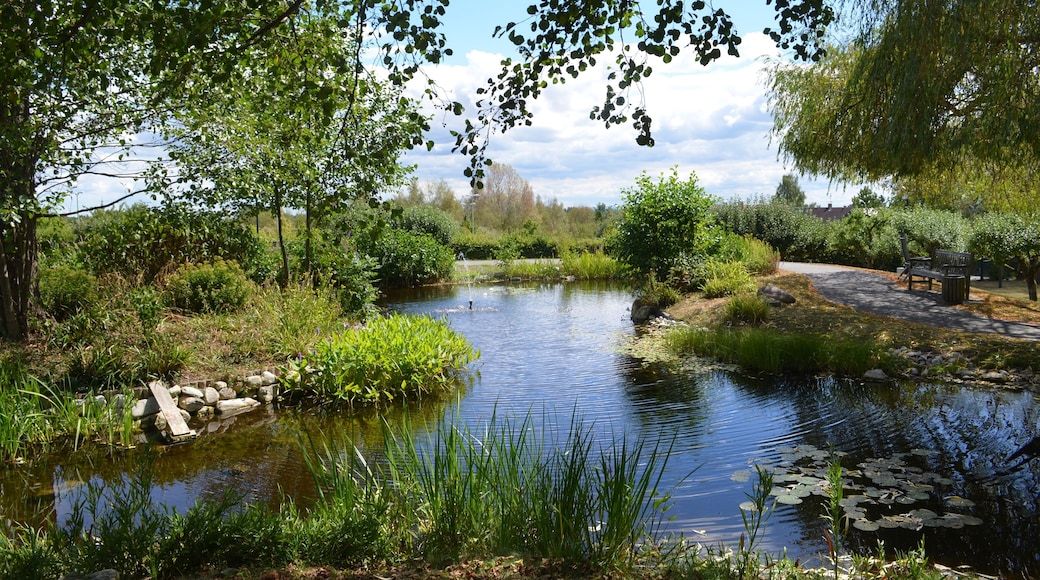 Altkönigstift, Park