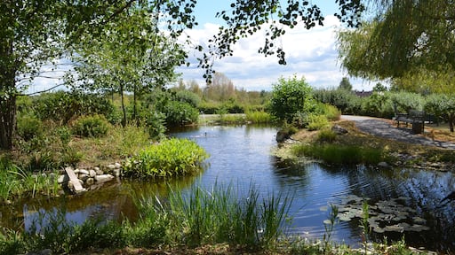 Altkönigstift, Park