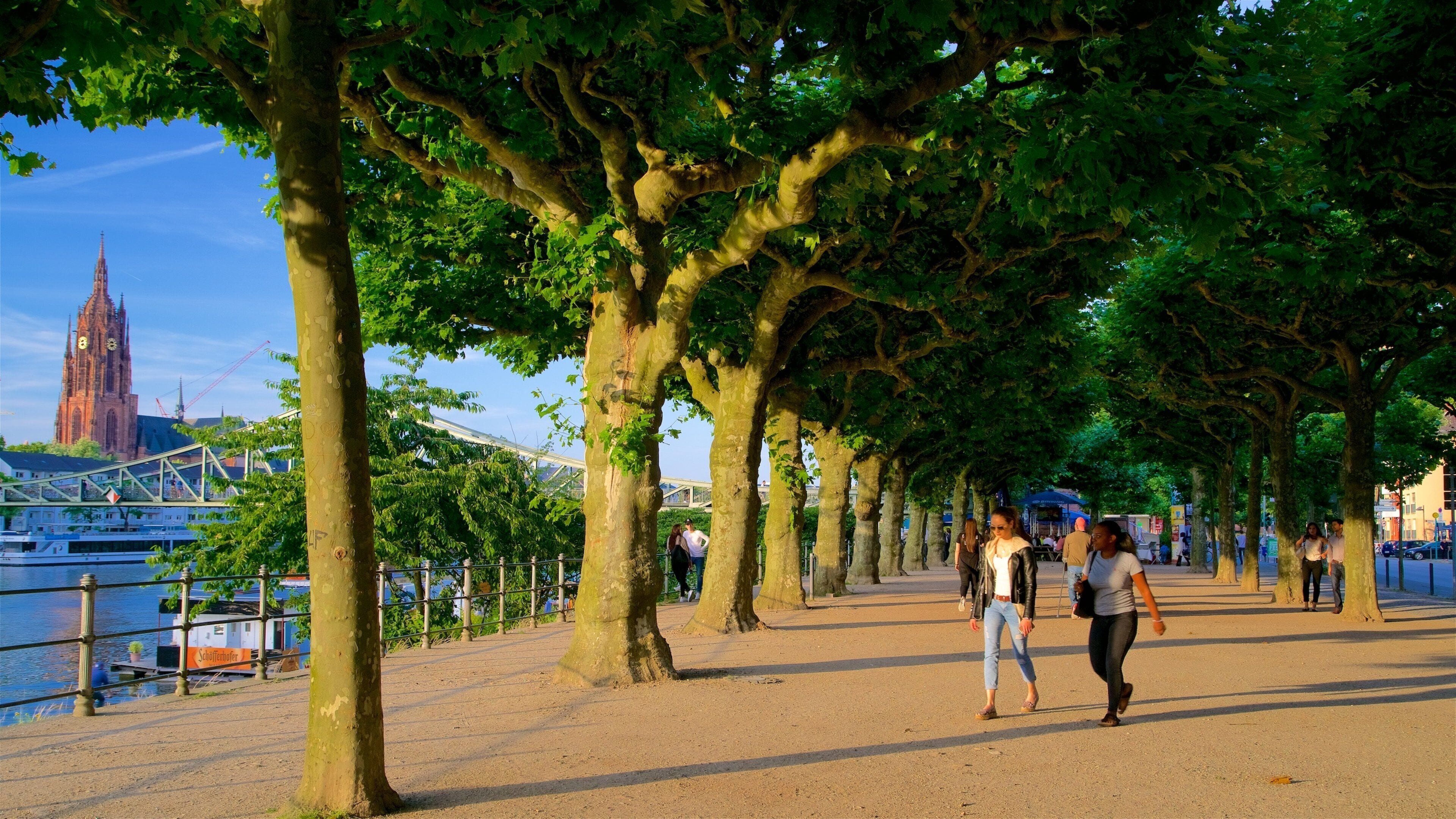 Frankfurt featuring a sunset and a park as well as an individual female
