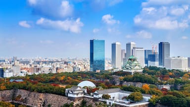 A cityscape with modern skyscrapers and traditional Japanese architecture, including a castle and a temple.