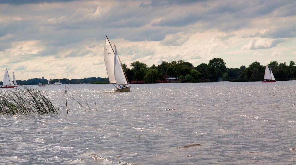 ロースデレヒト