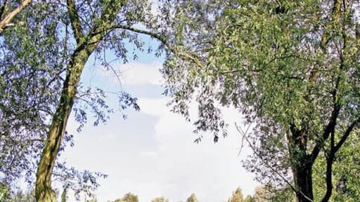 Barnwell Country Park. Located South of Oundle is the Barnwell Country Park. This shot shows one of the lakes making the Park.