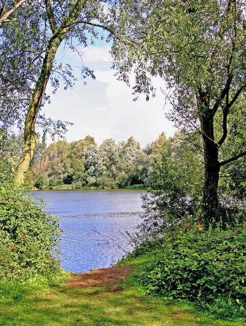 A lake surrounded by trees and greenery.