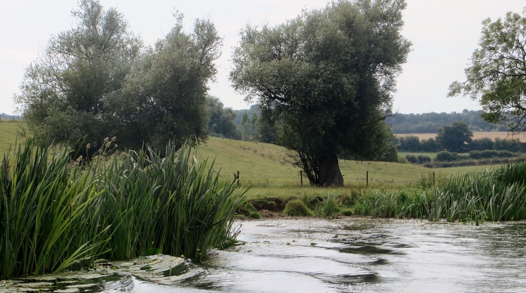 River Nene near Ashton / Oundle - July 2014