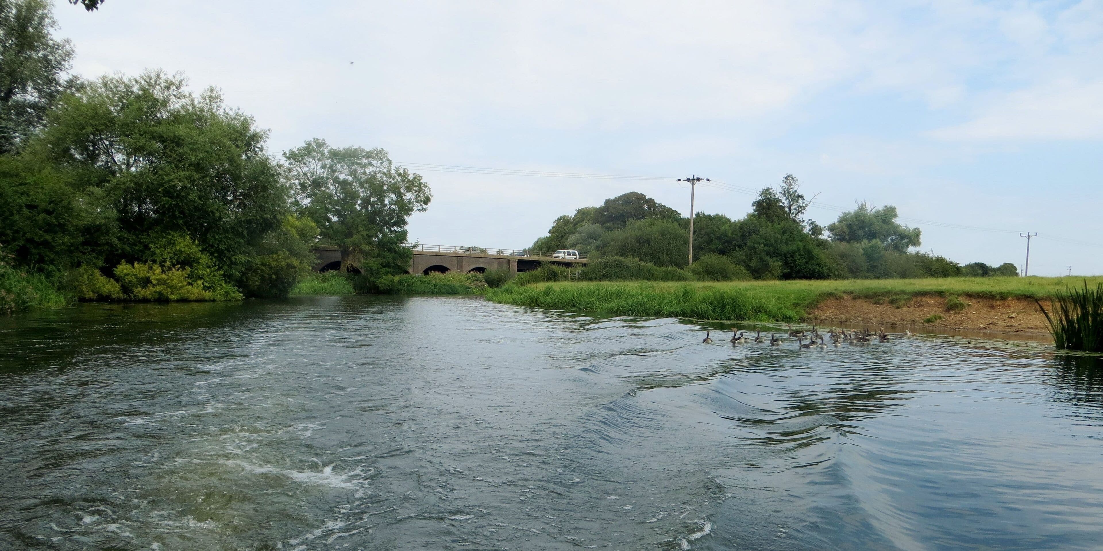 River Nene at Oundle - July 2014