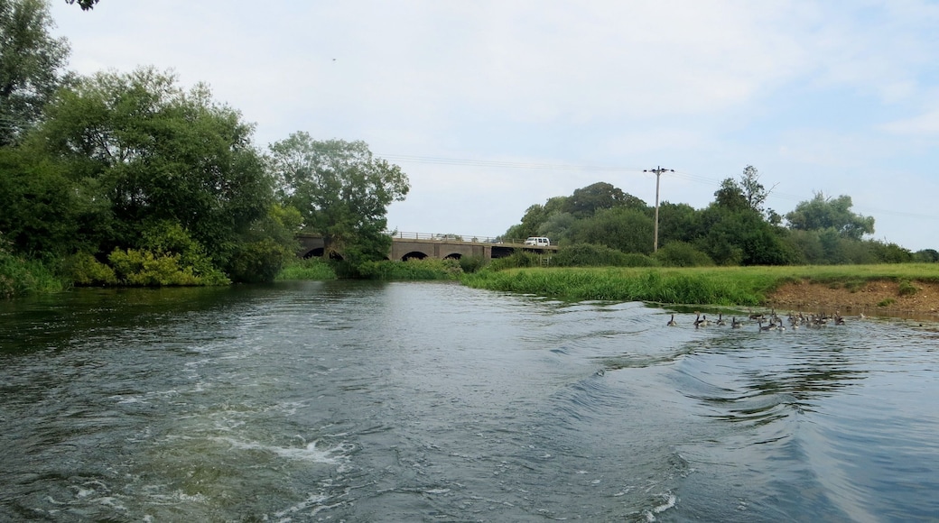 River Nene at Oundle - July 2014