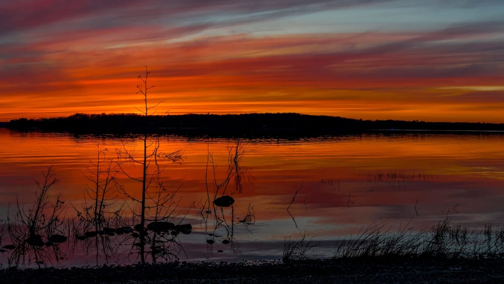 Un coucher de soleil sur un lac paisible, avec des arbres se détachant en silhouette et une rive lointaine.