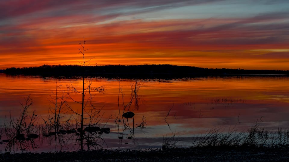 A sunset over a calm lake with silhouetted trees and a distant shoreline.